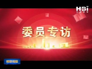 《无限鹤壁》委员专访